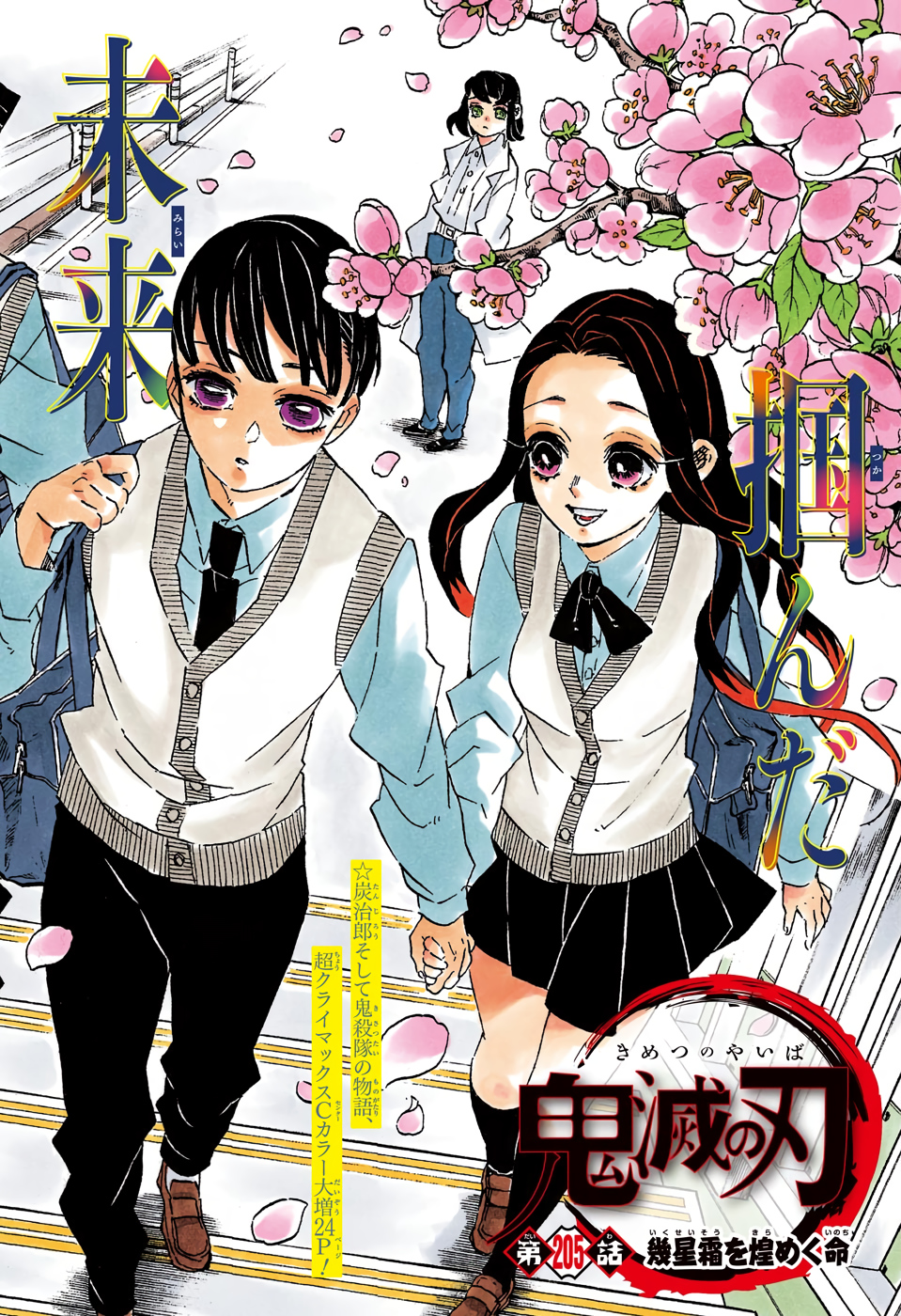 KIMETSU NO YAIBA - RAW Chapter 205 page 2 - nihonkuni.com
