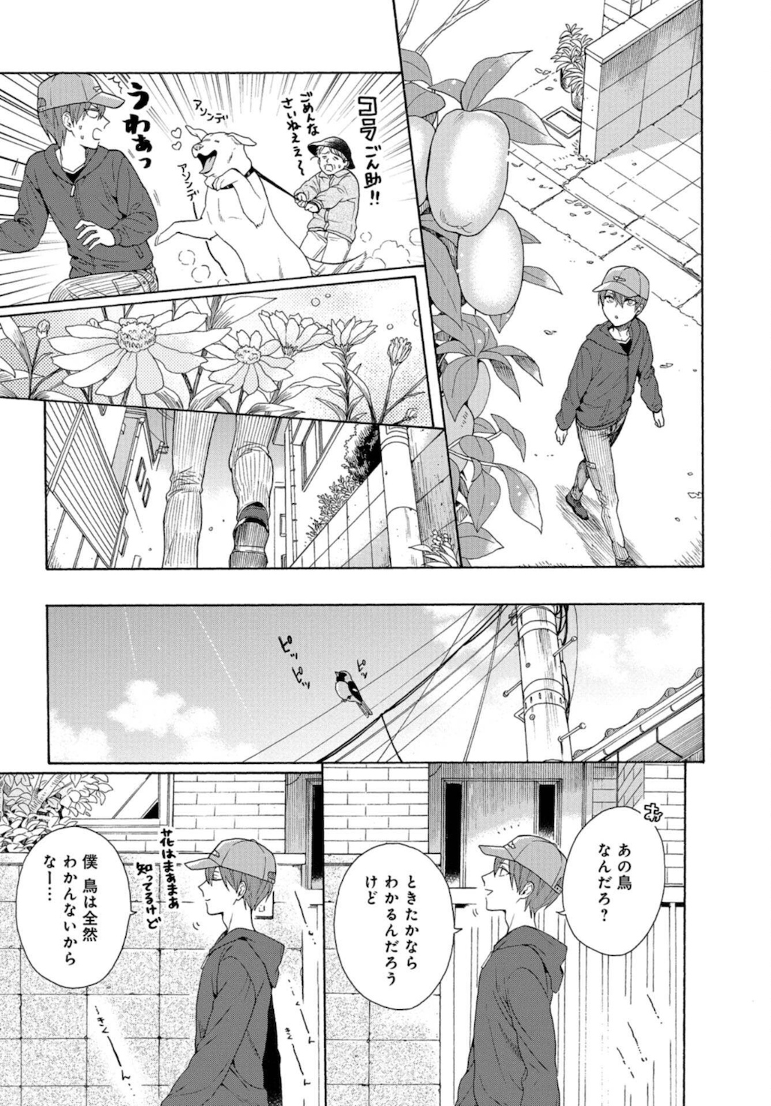 Rokuhoudou Yotsuiro-Biyori Chapter 37.5 page 17 - nihonkuni.com