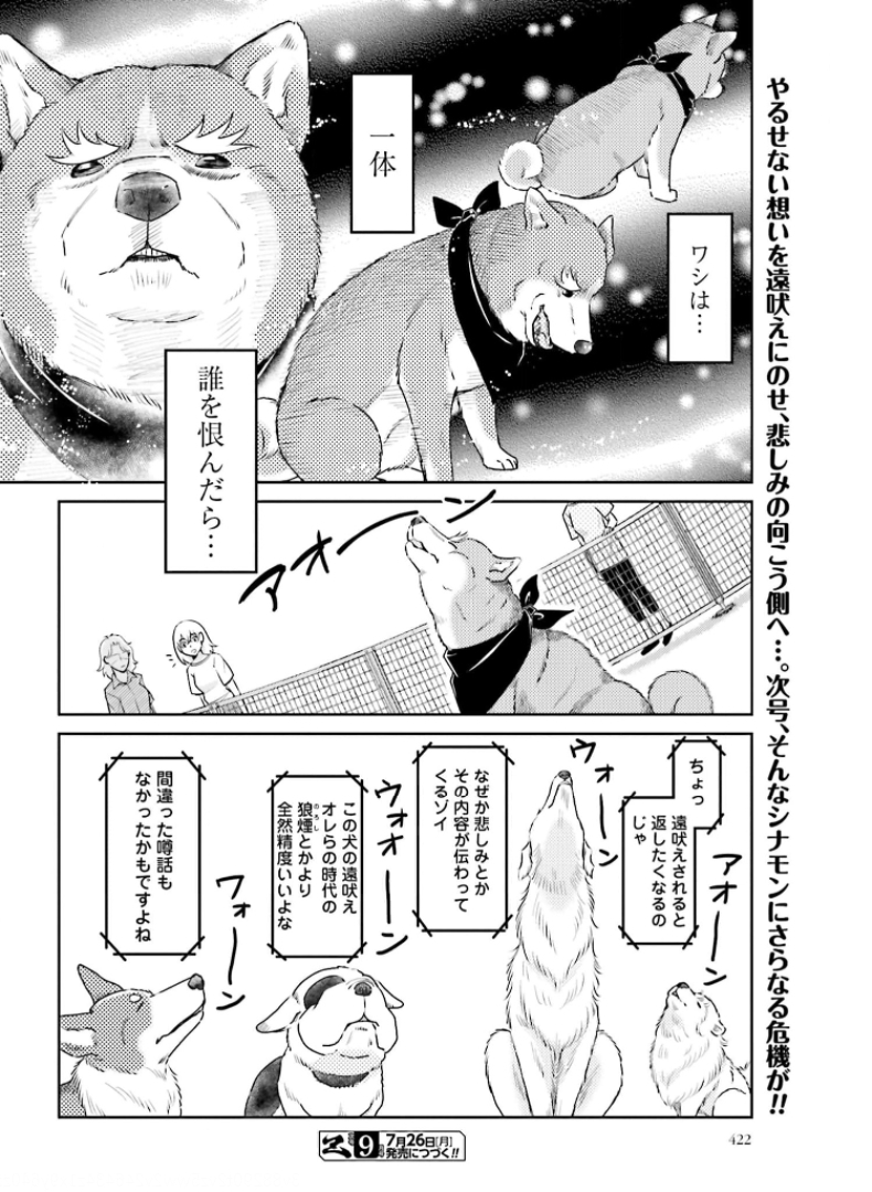 Oda Shinamon Nobunaga Chap 111 - Pic 12