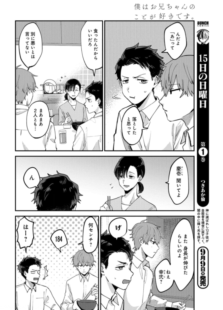 Boku wa Oniichan no Koto ga Suki desu. Chapter 1 page 10 - nihonkuni.com