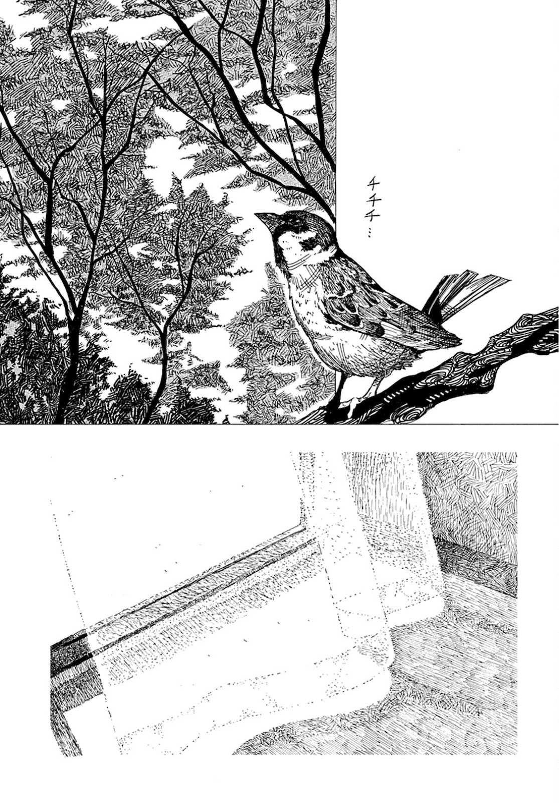Semi wa Taiji ni Kisei Suru Chapter 2 page 19 - nihonkuni.com