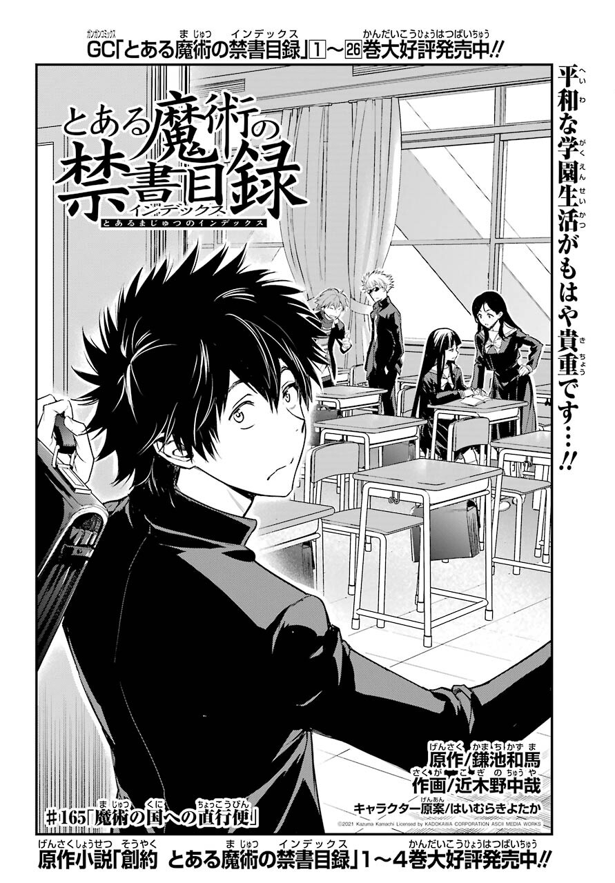 TOARU MAJUTSU NO KINSHO MOKUROKU Chapter 165 - Page 10