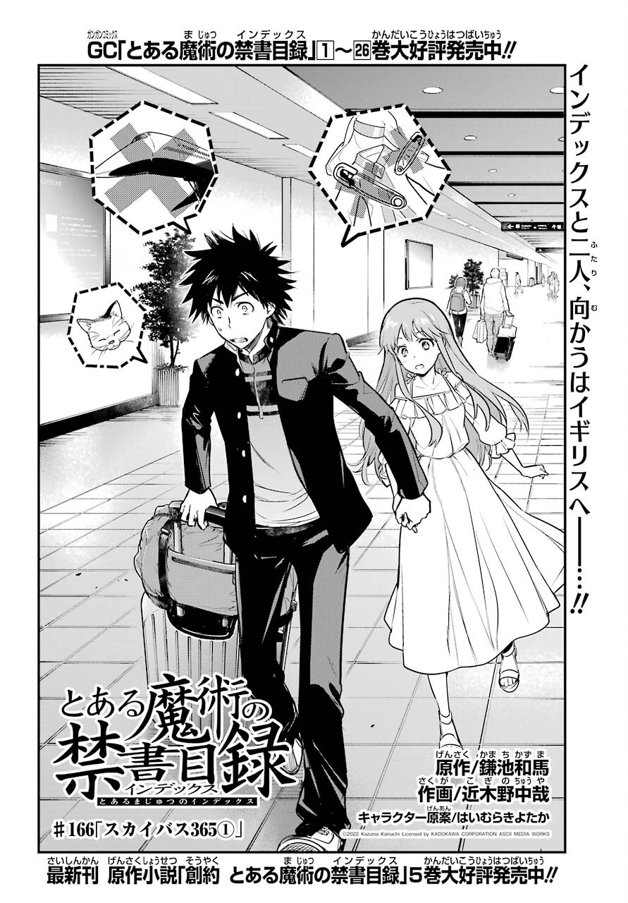 TOARU MAJUTSU NO KINSHO MOKUROKU Chapter 166 - Page 4