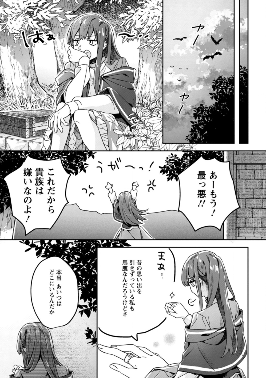 RIFUJIN NA RIYUU DE TSUIHOU SARETA OUKYUU MADOUSHI NO WATASHI DESU GA, RINGOKU NO OUJI-SAMA TO GOISSHO SHITEIMASU!? Chapter 1 page 11 - nihonkuni.com