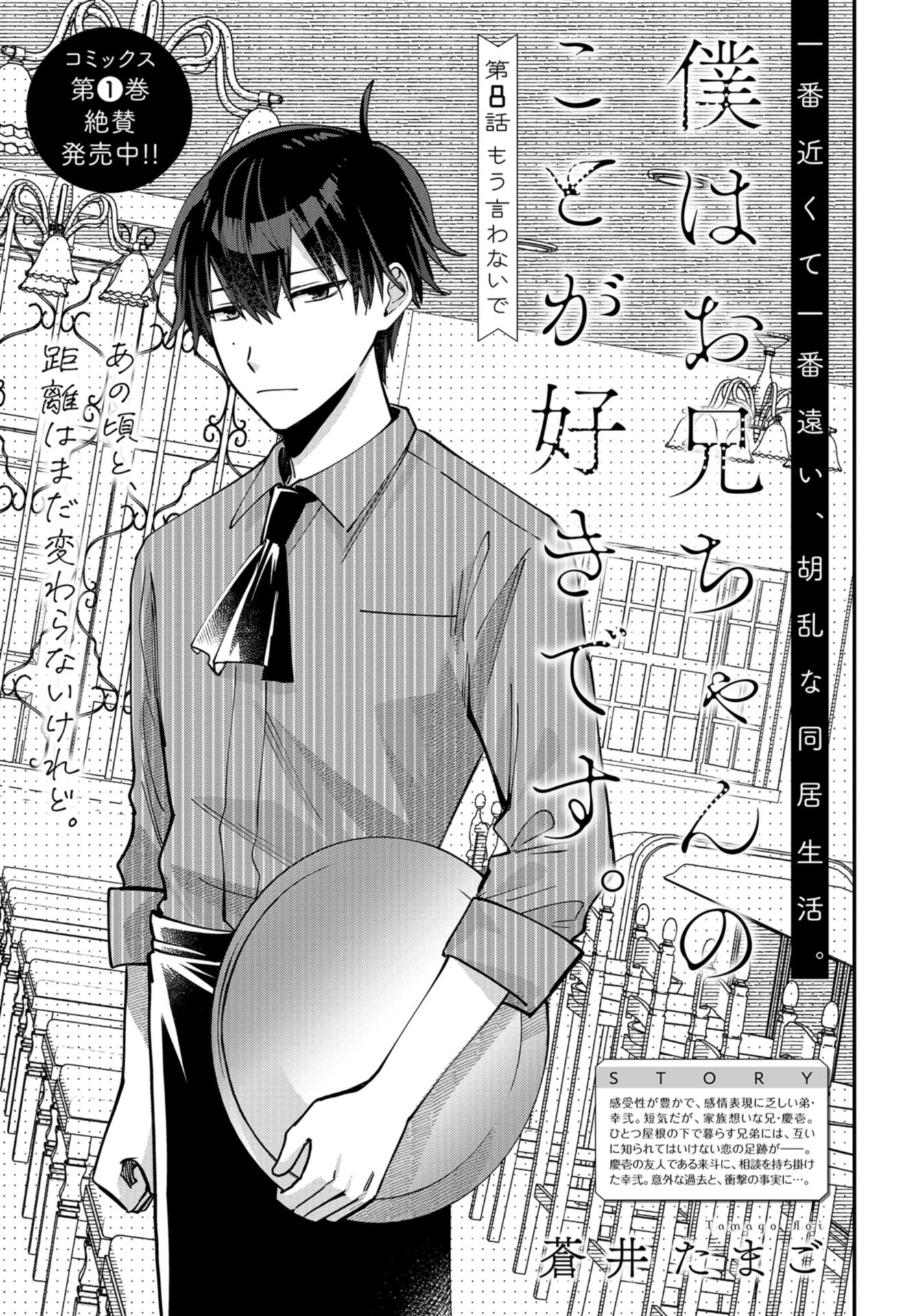 Boku wa Oniichan no Koto ga Suki desu. Chapter 8 page 3 - nihonkuni.com