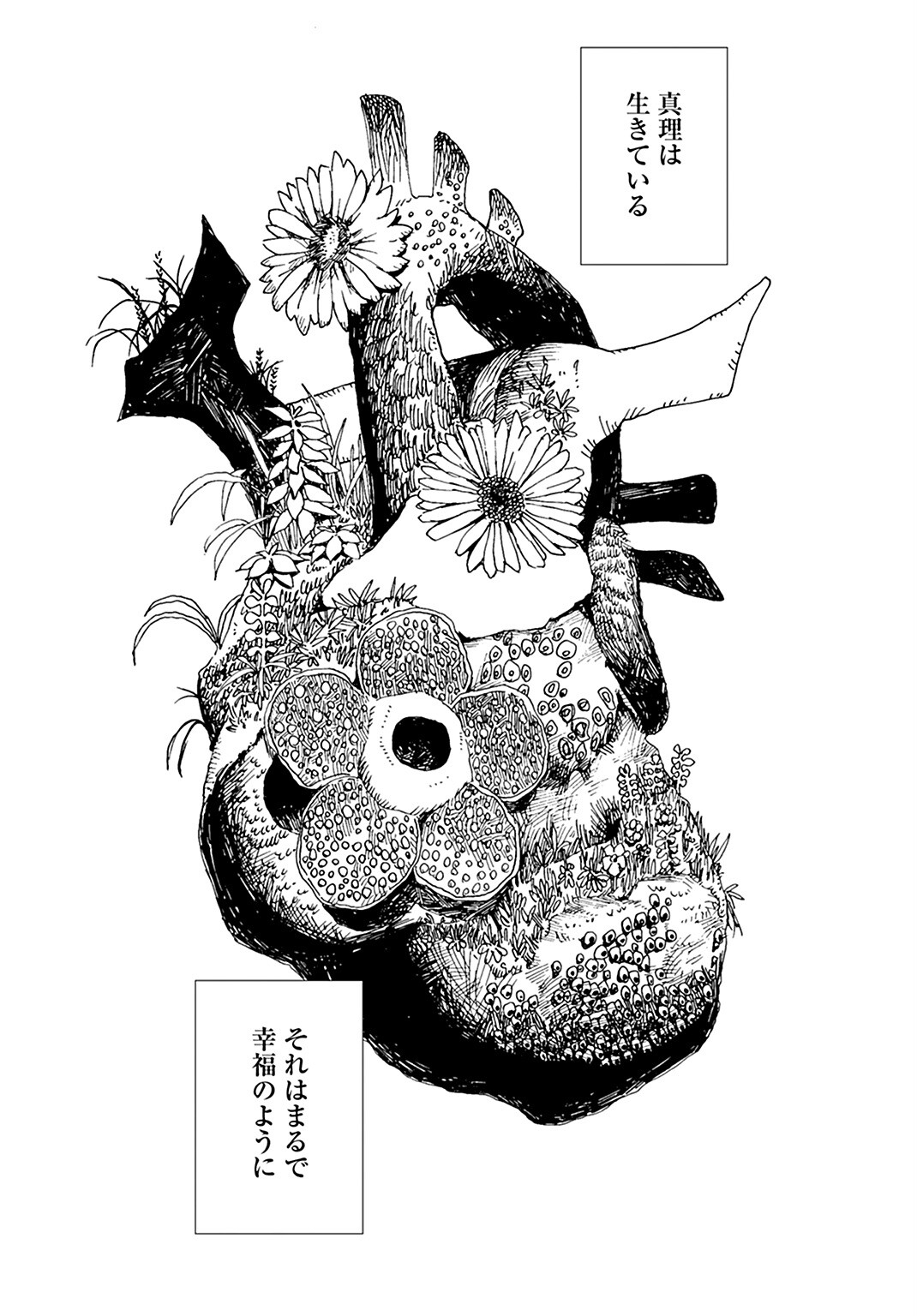 Semi wa Taiji ni Kisei Suru Chapter 5 page 7 - nihonkuni.com