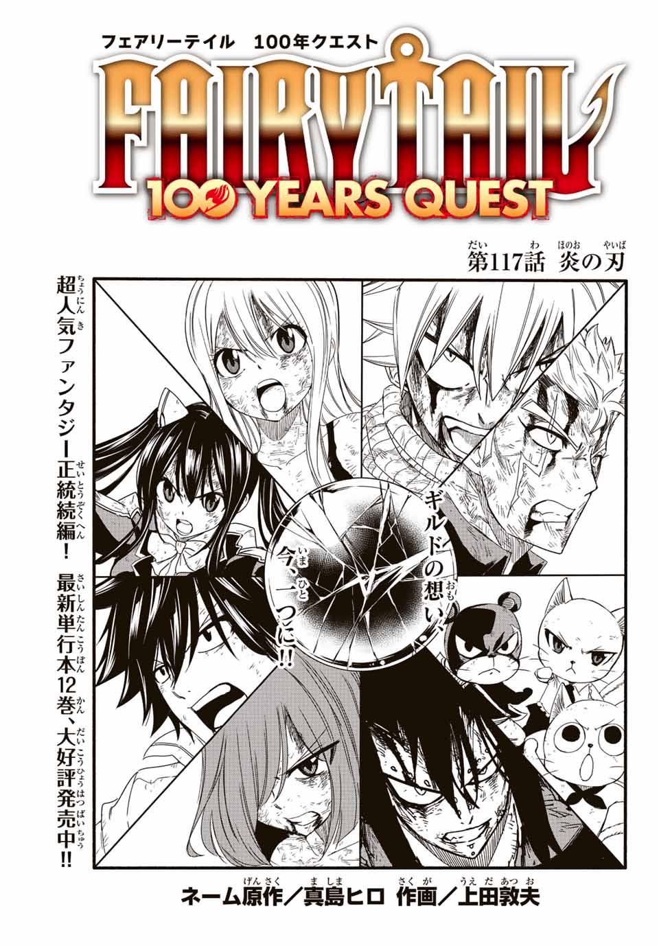 FAIRY TAIL: 100 YEARS QUEST - RAW Chapter 117 page 1 - nihonkuni.com