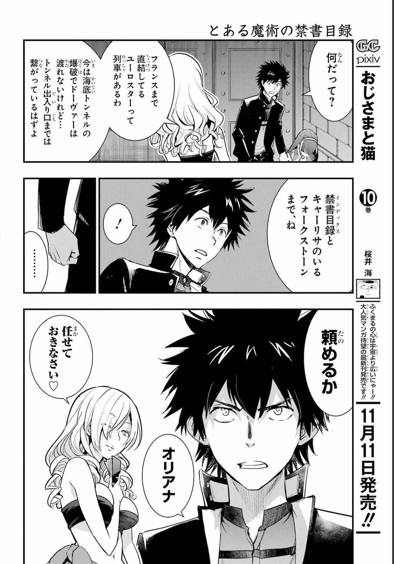 TOARU MAJUTSU NO KINSHO MOKUROKU Chapter 175 - Page 14