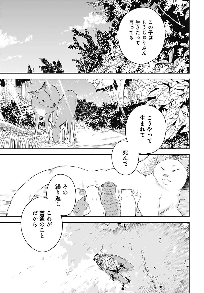 Tanuki to Kitsune to Sato Gurashi Chap 17 - Pic 19