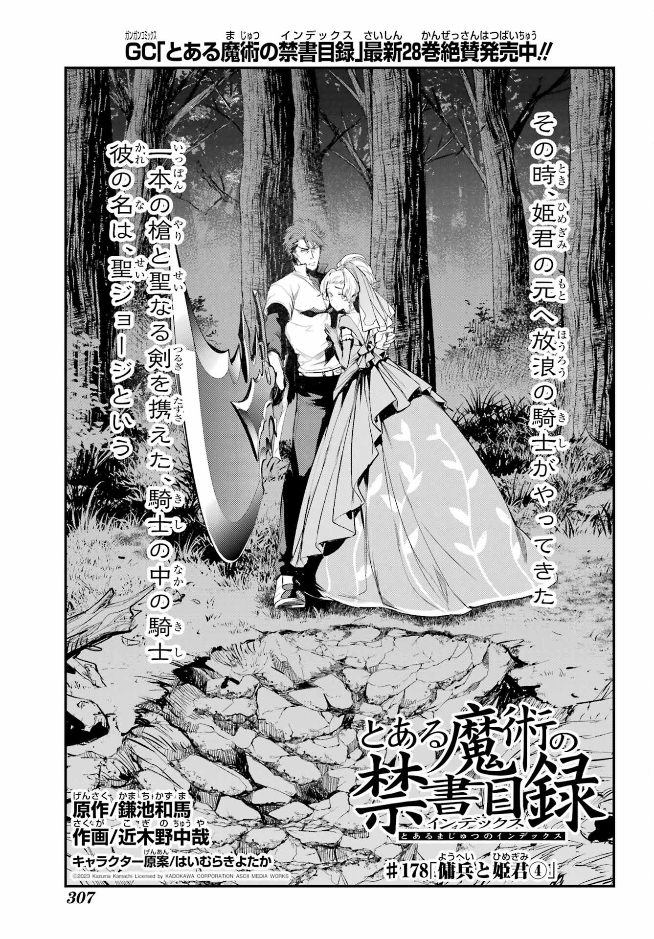 TOARU MAJUTSU NO KINSHO MOKUROKU Chapter 178 - Page 3
