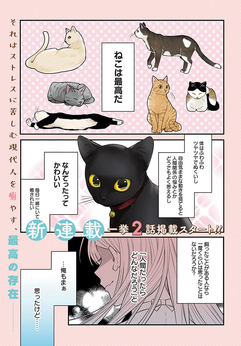 Mi-chan wa Kawaretai Chapter 1 page 1 - nihonkuni.com