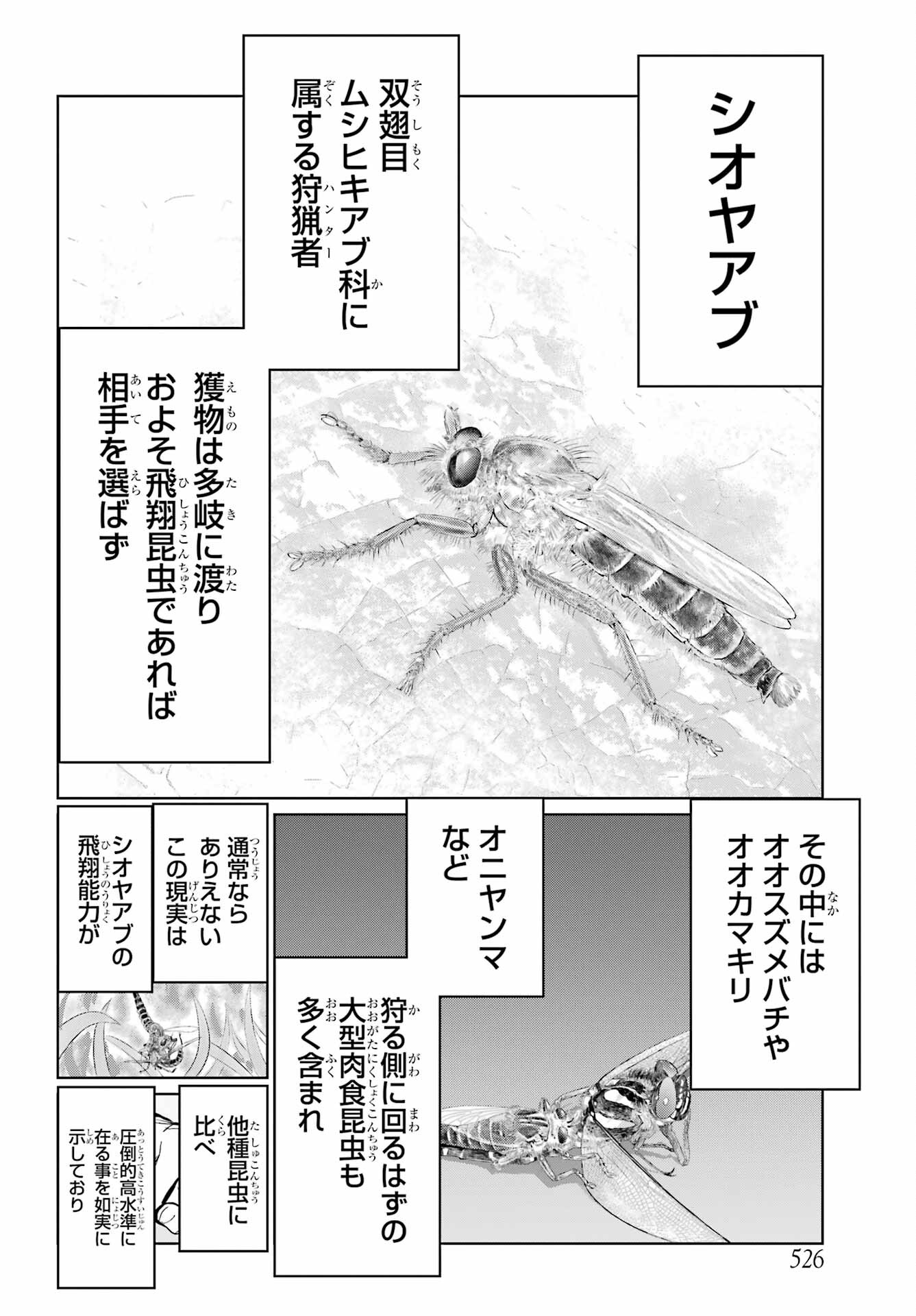 BLATTODEA Chapter 29 - Page 6