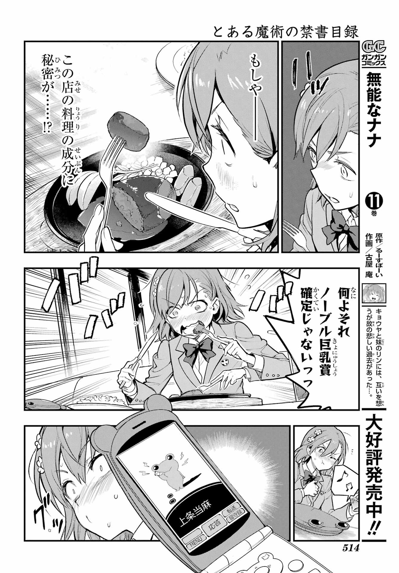 TOARU MAJUTSU NO KINSHO MOKUROKU Chapter 183 - Page 22