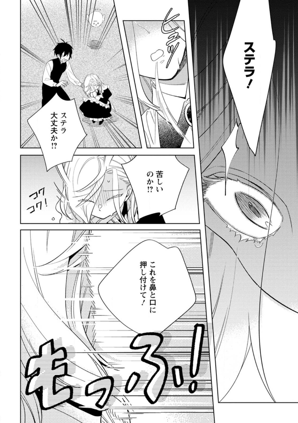 Read DARE NI MO AISARENAI NO DE YUKA WO MIGAITE ITARA SOKO GA SEIIKI-KA SHITA REIJOU NO HANASHI Chapter 9.2 [High Quality / Full] - Page 2 - nicomanga.net