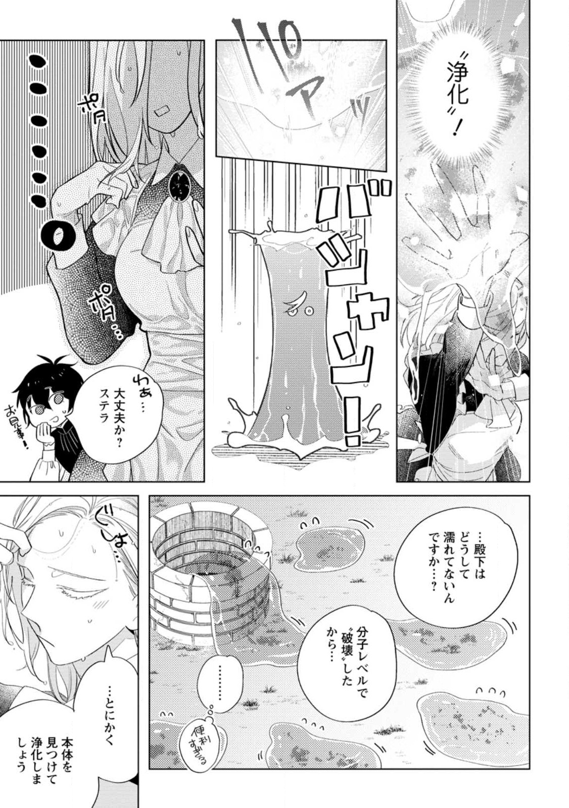 Read DARE NI MO AISARENAI NO DE YUKA WO MIGAITE ITARA SOKO GA SEIIKI-KA SHITA REIJOU NO HANASHI Chapter 9.3 [High Quality / Full] - Page 9 - nicomanga.net