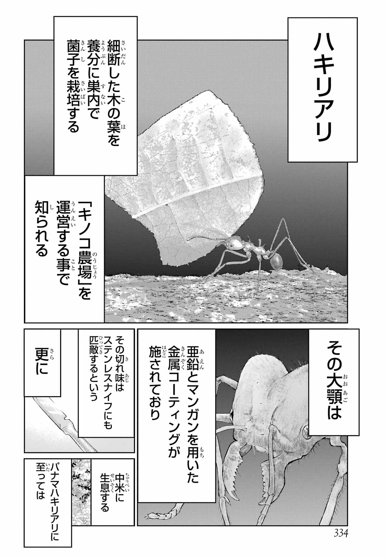BLATTODEA Chapter 32 - Page 6