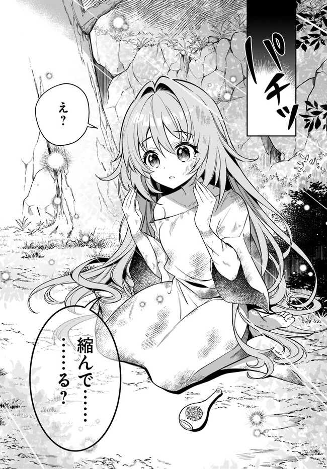 KUSURI DE OSANAKU NATTA OKAGE DE REIKOKU KOUSHAKU-SAMA NI HIROWAREMASHITA - SUTERARE SEIJO WA RENKINJUTSUSHI NI MODORIMASU Chap 1.2 - Pic 10
