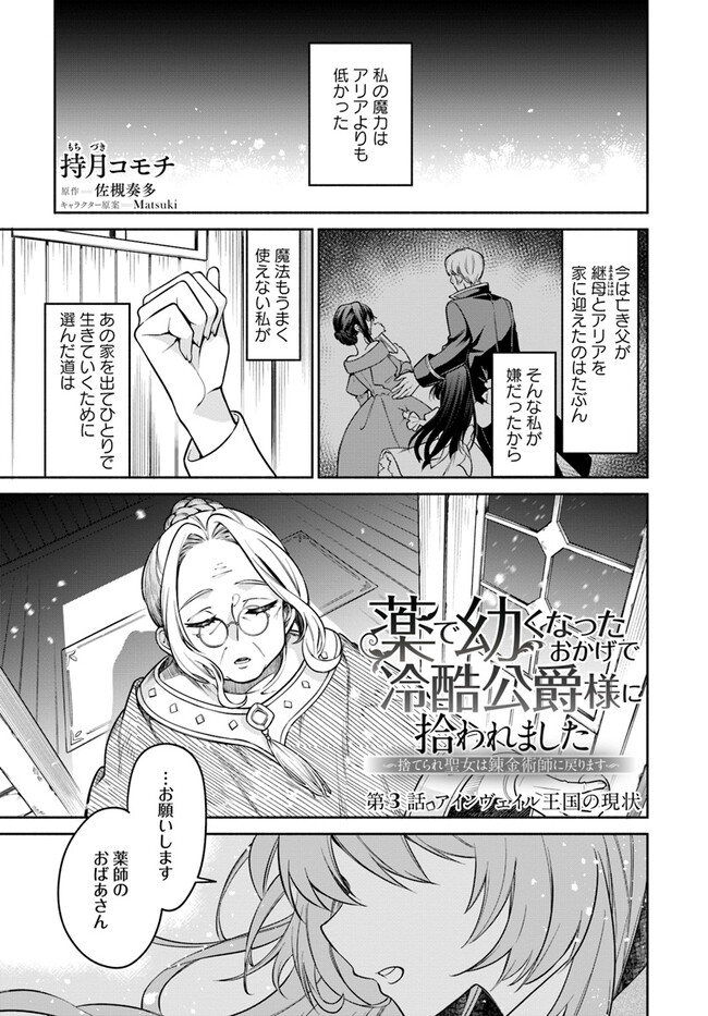 KUSURI DE OSANAKU NATTA OKAGE DE REIKOKU KOUSHAKU-SAMA NI HIROWAREMASHITA - SUTERARE SEIJO WA RENKINJUTSUSHI NI MODORIMASU Chap 3.1 - Pic 1