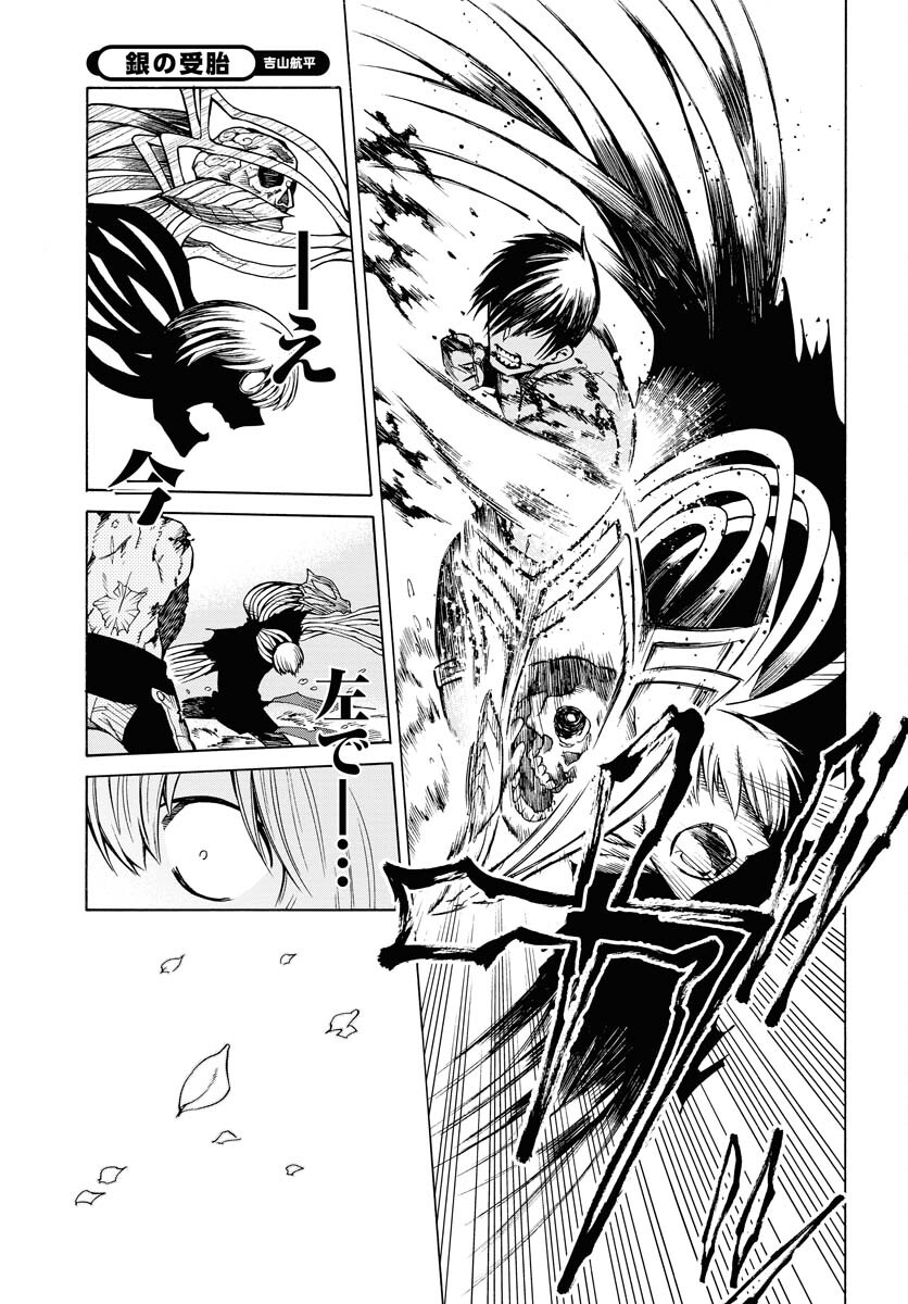 Gin no Jutai Chapter 5 page 17 - nihonkuni.com