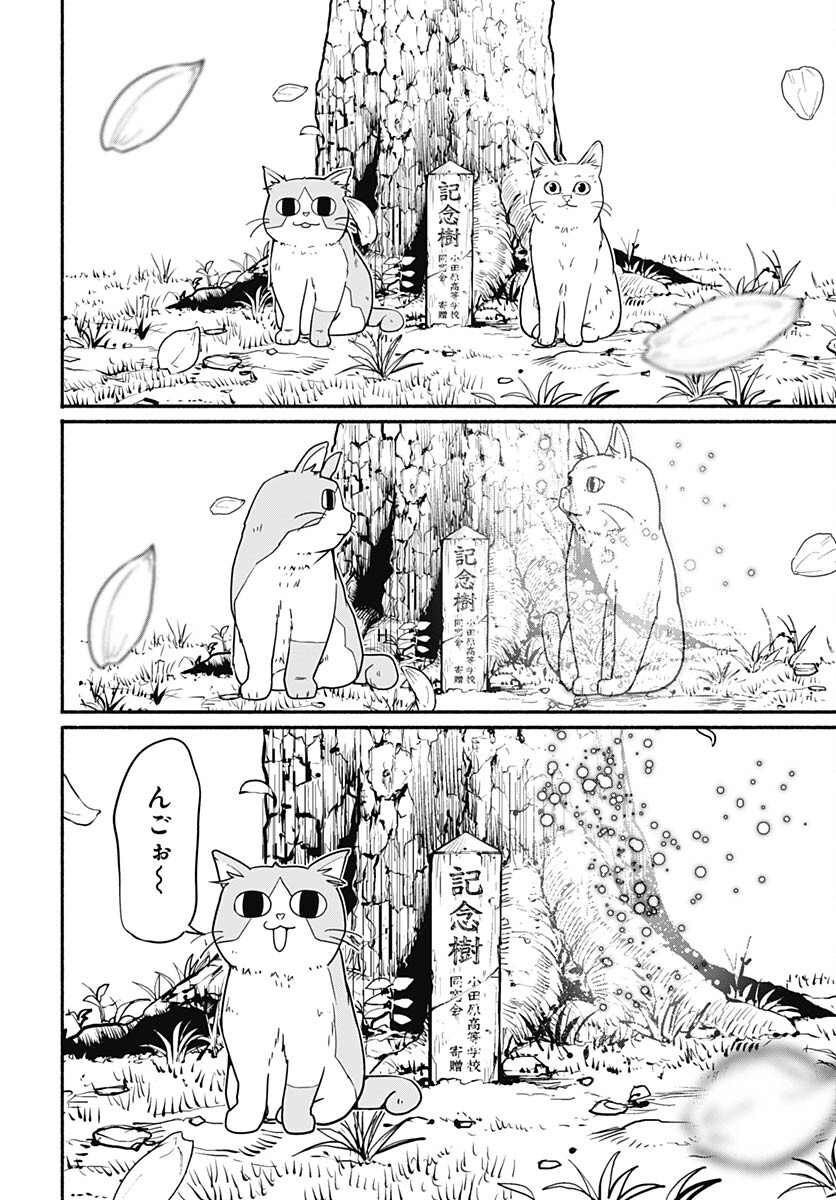 Atarashii Kimi e Chapter 24 page 52 - nihonkuni.com