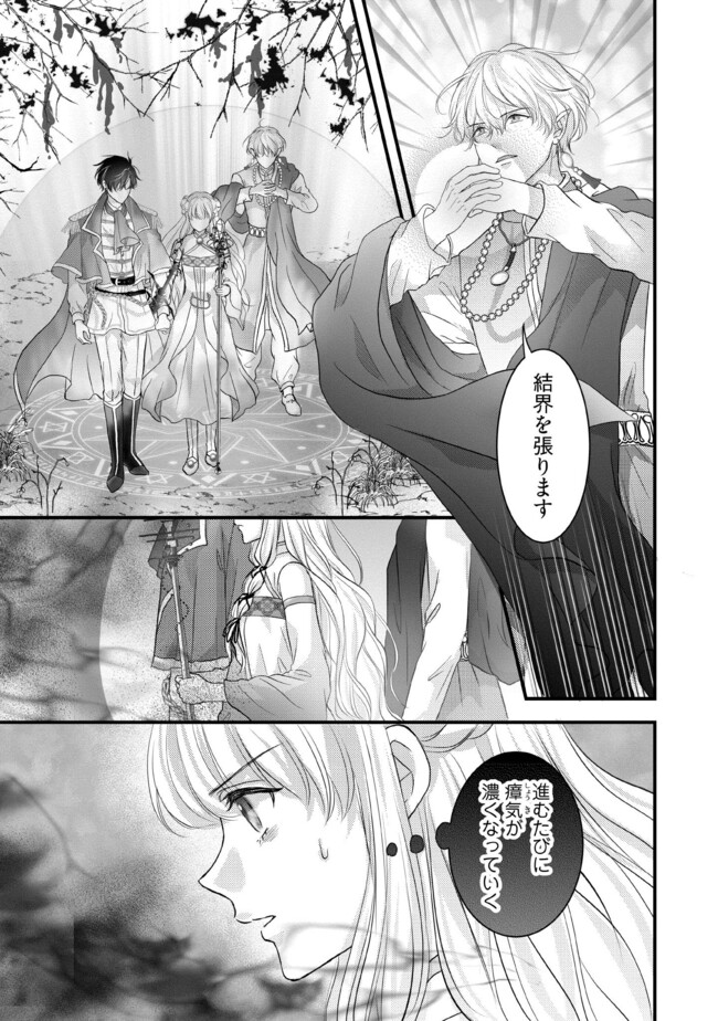 KARAPPO SEIJO TO SHITE SUTERARETA HAZU GA, TOTSUGI-SAKI NO KOUTEI HEIKA NI DEKIAISARETEIMASU Chapter 10.2 page 3 - nihonkuni.com