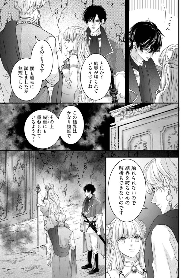 KARAPPO SEIJO TO SHITE SUTERARETA HAZU GA, TOTSUGI-SAKI NO KOUTEI HEIKA NI DEKIAISARETEIMASU Chapter 10.4 page 5 - nihonkuni.com