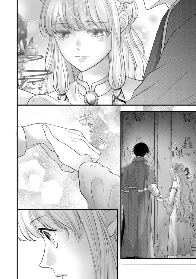 KARAPPO SEIJO TO SHITE SUTERARETA HAZU GA, TOTSUGI-SAKI NO KOUTEI HEIKA NI DEKIAISARETEIMASU Chapter 11.2 page 2 - nihonkuni.com