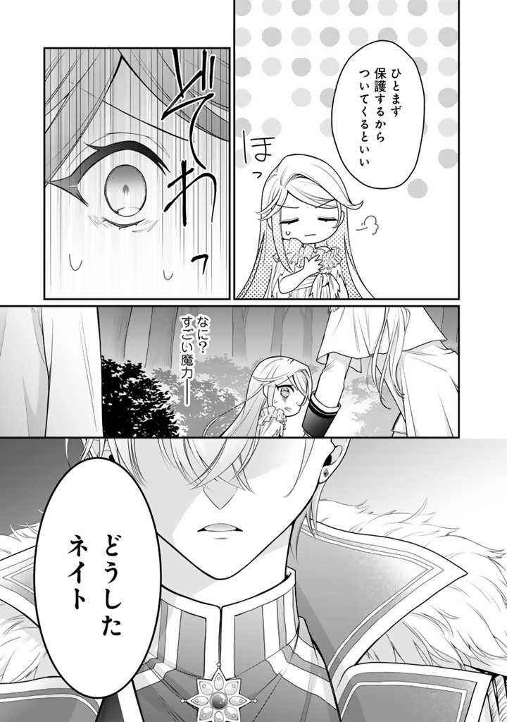 URAGIRARETA AKUTOKU ŌJO, YŌJO NI NATTE REIKETSU KŌTEI NI HIROWARERU Chapter 1 page 42 - nihonkuni.com