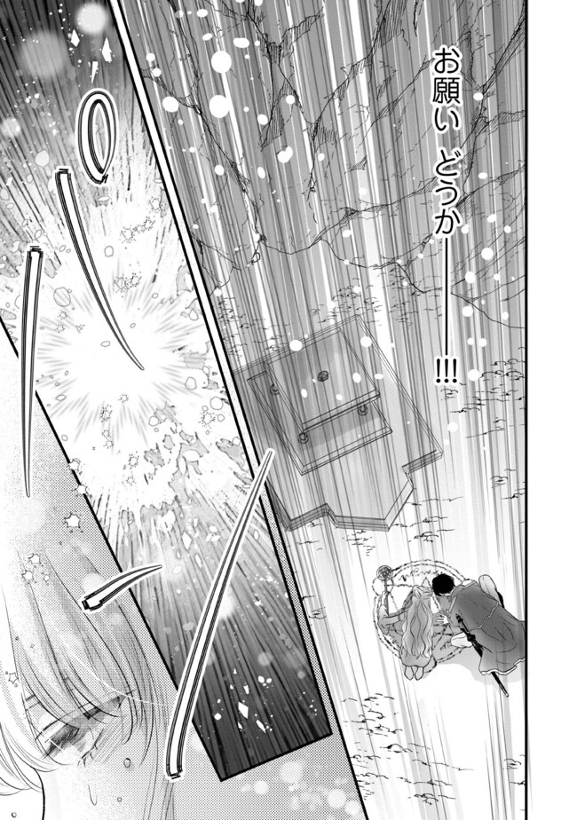KARAPPO SEIJO TO SHITE SUTERARETA HAZU GA, TOTSUGI-SAKI NO KOUTEI HEIKA NI DEKIAISARETEIMASU Chapter 12.3 page 1 - nihonkuni.com