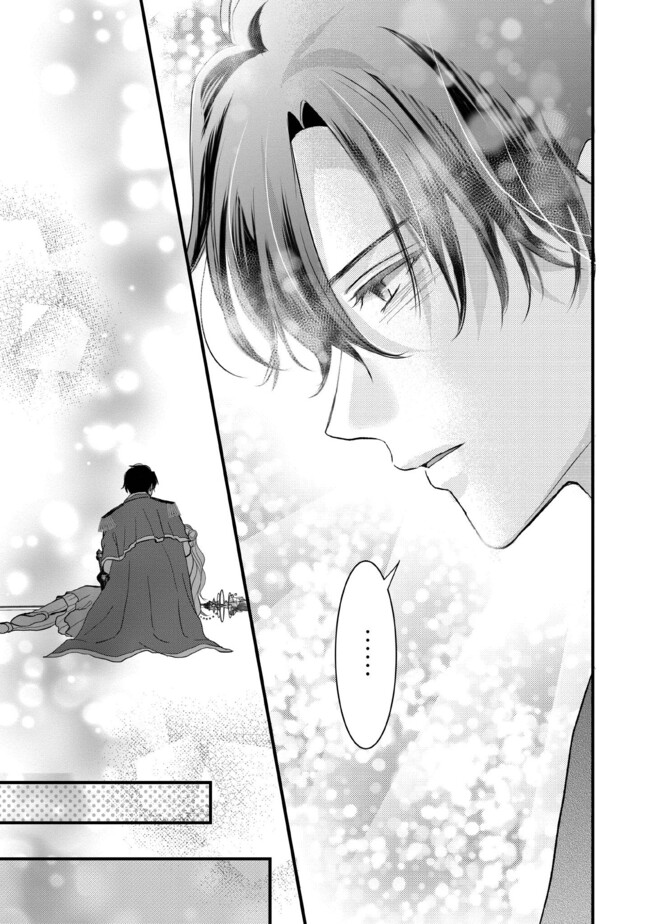 KARAPPO SEIJO TO SHITE SUTERARETA HAZU GA, TOTSUGI-SAKI NO KOUTEI HEIKA NI DEKIAISARETEIMASU Chapter 12.3 page 5 - nihonkuni.com