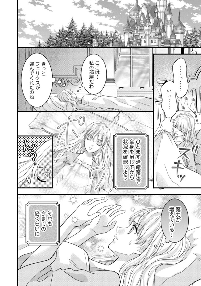 KARAPPO SEIJO TO SHITE SUTERARETA HAZU GA, TOTSUGI-SAKI NO KOUTEI HEIKA NI DEKIAISARETEIMASU Chapter 12.3 page 6 - nihonkuni.com