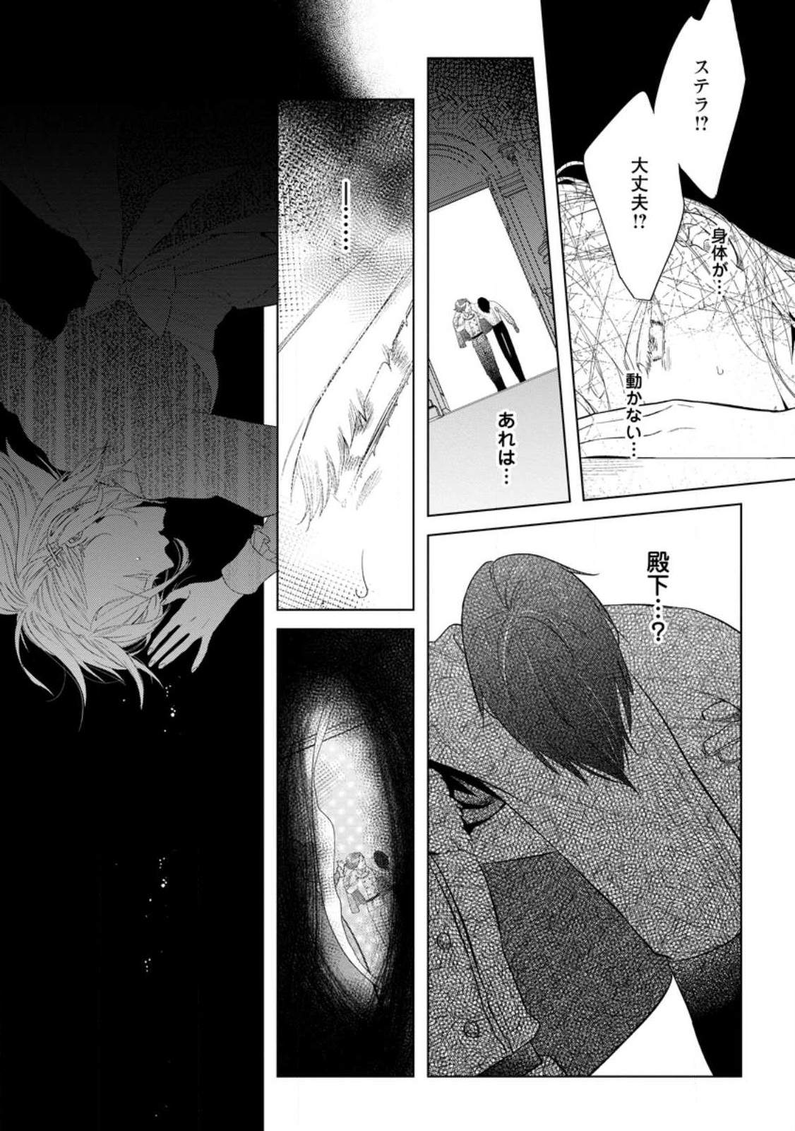 Read DARE NI MO AISARENAI NO DE YUKA WO MIGAITE ITARA SOKO GA SEIIKI-KA SHITA REIJOU NO HANASHI Chapter 13.3 [High Quality / Full] - Page 10 - nicomanga.net
