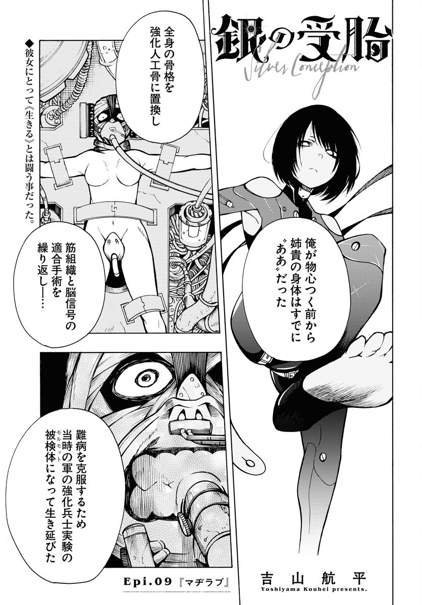 Gin no Jutai Chapter 9 page 1 - nihonkuni.com