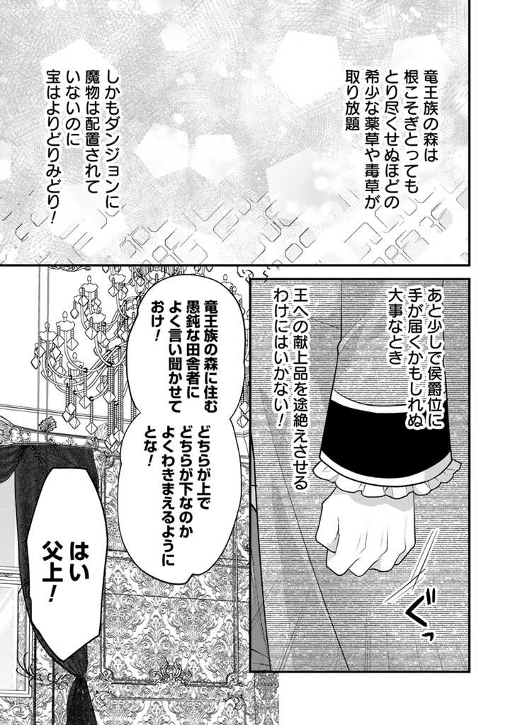 Read RYUU NI SODATERARETA SAIKYOU - SUBETE WO KIWAMETA SHOUNEN WA NINGENKAI WO MUSOU SURU Chapter 14.1 [High Quality / Full] - Page 3 - nicomanga.net