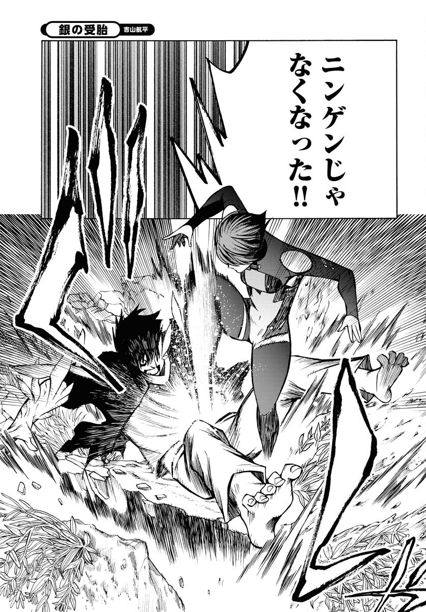 Gin no Jutai Chapter 10 page 5 - nihonkuni.com