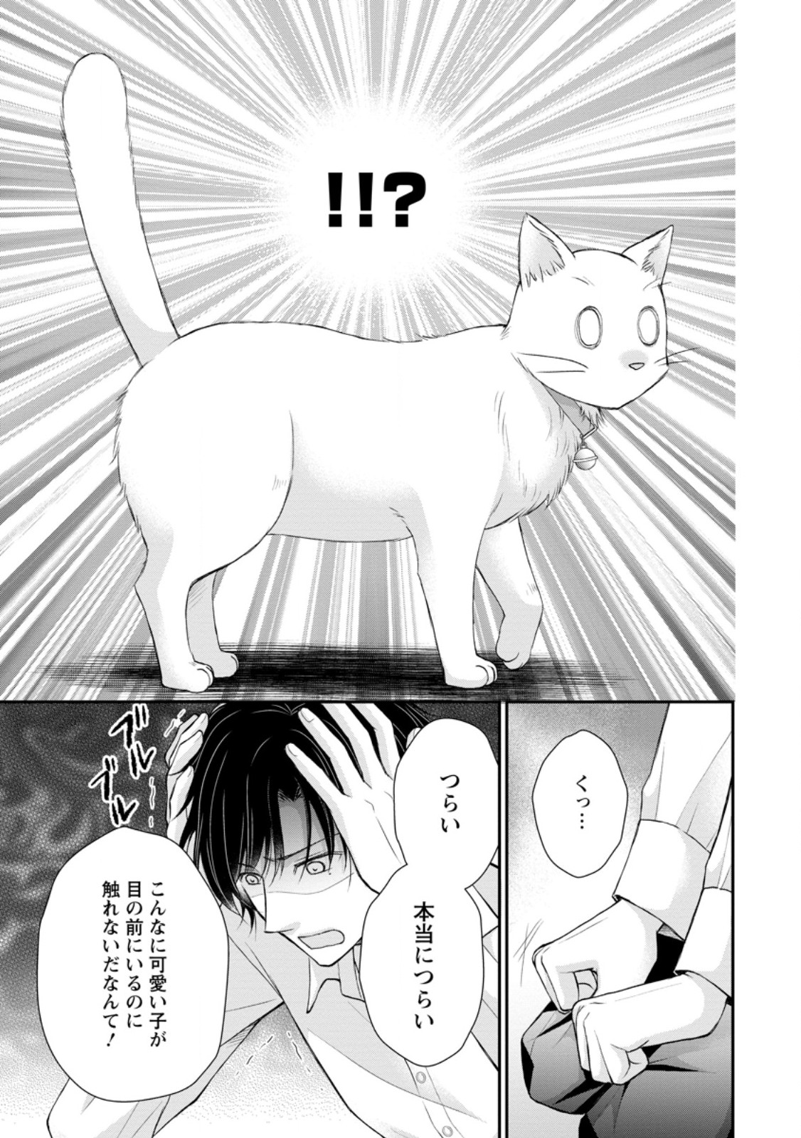 Read NOROI DE NEKO NI SARETA AKUNE, O TAISHI NI HIROWARERU Chapter 3.1 [High Quality / Full] - Page 7 - nicomanga.net