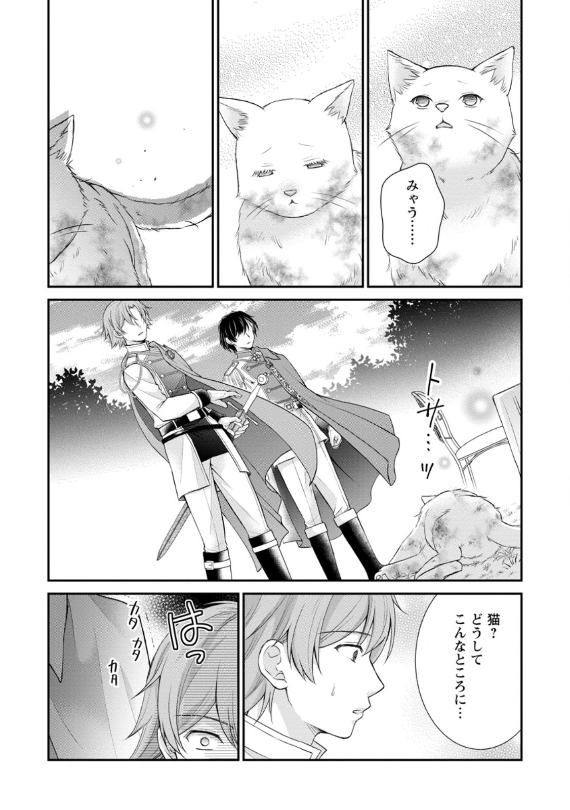 Read NOROI DE NEKO NI SARETA AKUNE, O TAISHI NI HIROWARERU Chapter 2.2 [High Quality / Full] - Page 9 - nicomanga.net