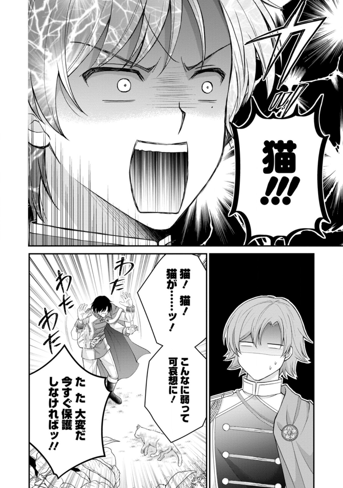 Read NOROI DE NEKO NI SARETA AKUNE, O TAISHI NI HIROWARERU Chapter 2.2 [High Quality / Full] - Page 10 - nicomanga.net