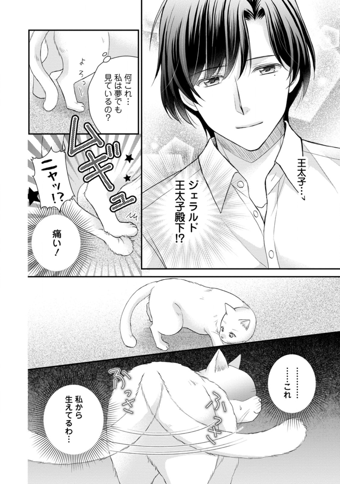 Read NOROI DE NEKO NI SARETA AKUNE, O TAISHI NI HIROWARERU Chapter 3.1 [High Quality / Full] - Page 10 - nicomanga.net