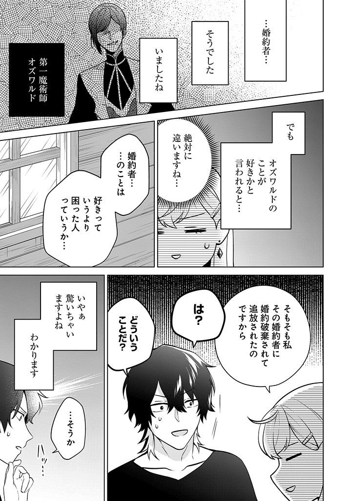 SEISHIN SEIJO: KONYAKU HAKISARETA TSUIHOU SEIJO DESU GA, OOKAMI OUJI NO NOROI WO TOITE DEKIAISARETEMASU - IMASARA KUNI NI MODORETTE IWARETE MO OSOI DESU! Chapter 8 page 19 - nihonkuni.com