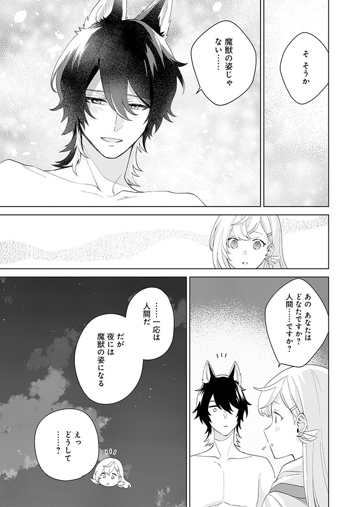 SEISHIN SEIJO: KONYAKU HAKISARETA TSUIHOU SEIJO DESU GA, OOKAMI OUJI NO NOROI WO TOITE DEKIAISARETEMASU - IMASARA KUNI NI MODORETTE IWARETE MO OSOI DESU! Chapter 1 page 27 - nihonkuni.com