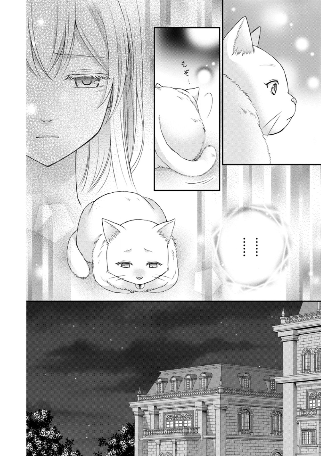 Read NOROI DE NEKO NI SARETA AKUNE, O TAISHI NI HIROWARERU Chapter 3.3 [High Quality / Full] - Page 9 - nicomanga.net