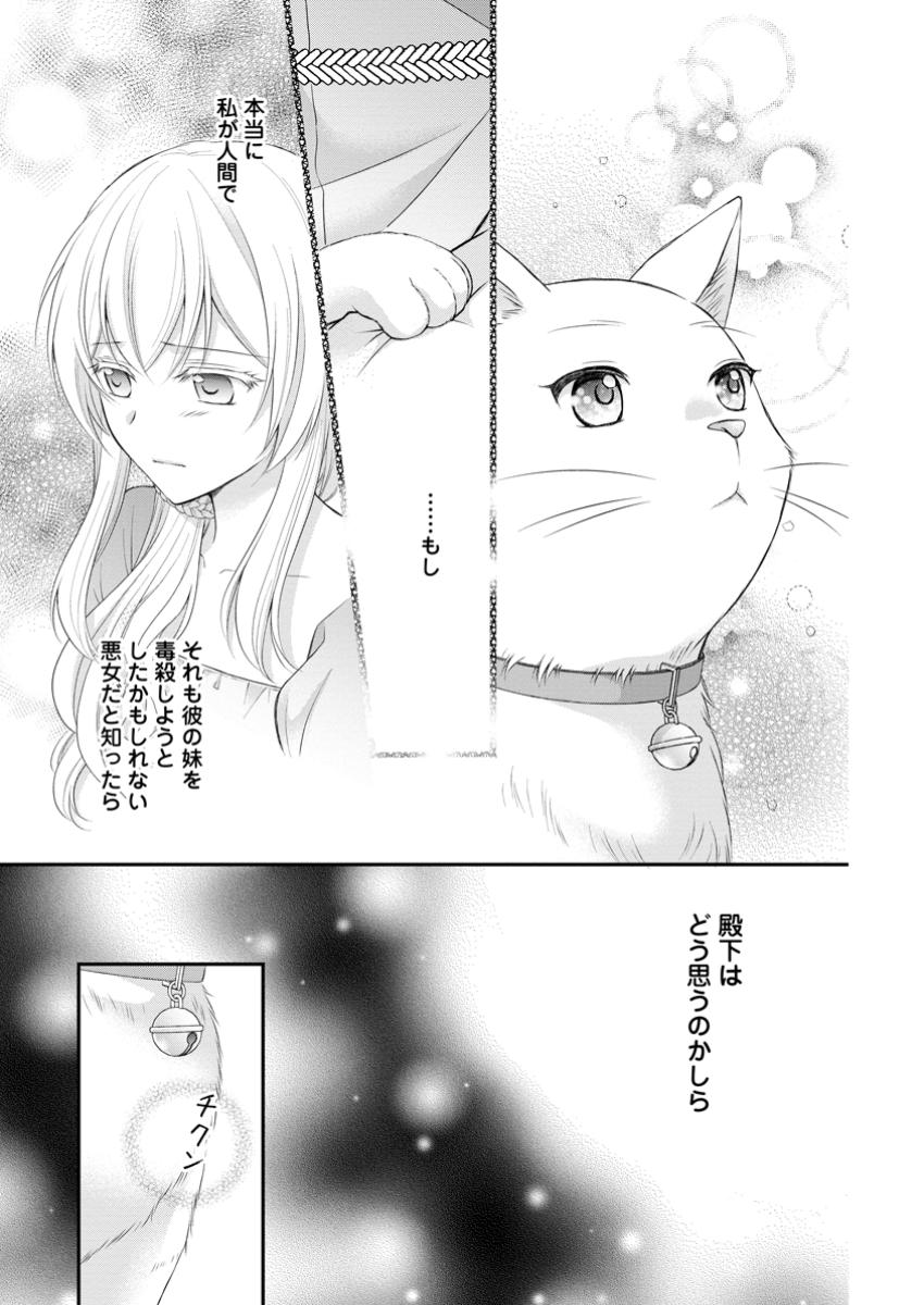 Read NOROI DE NEKO NI SARETA AKUNE, O TAISHI NI HIROWARERU Chapter 4.3 [High Quality / Full] - Page 7 - nicomanga.net
