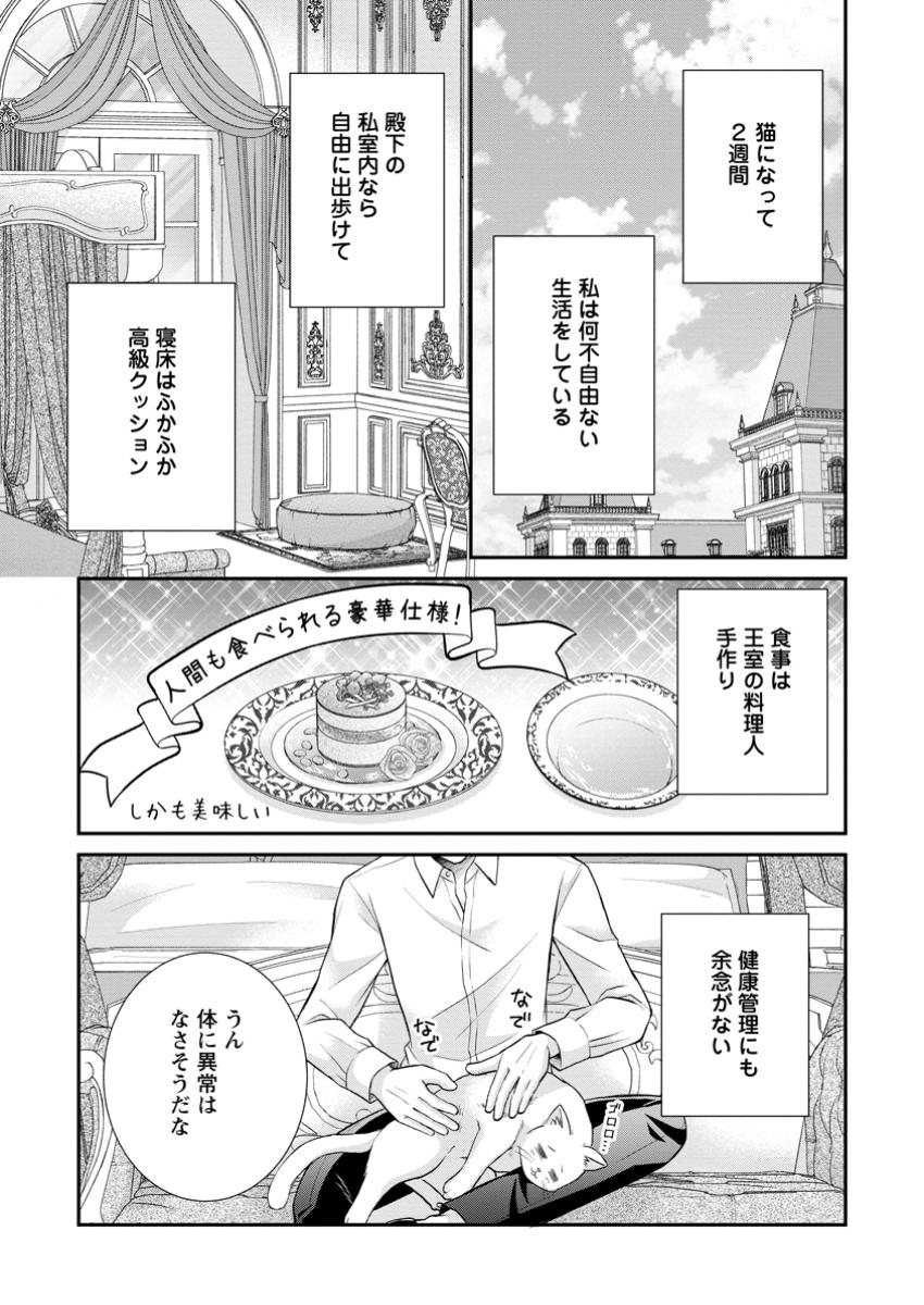 Read NOROI DE NEKO NI SARETA AKUNE, O TAISHI NI HIROWARERU Chapter 5.1 [High Quality / Full] - Page 3 - nicomanga.net