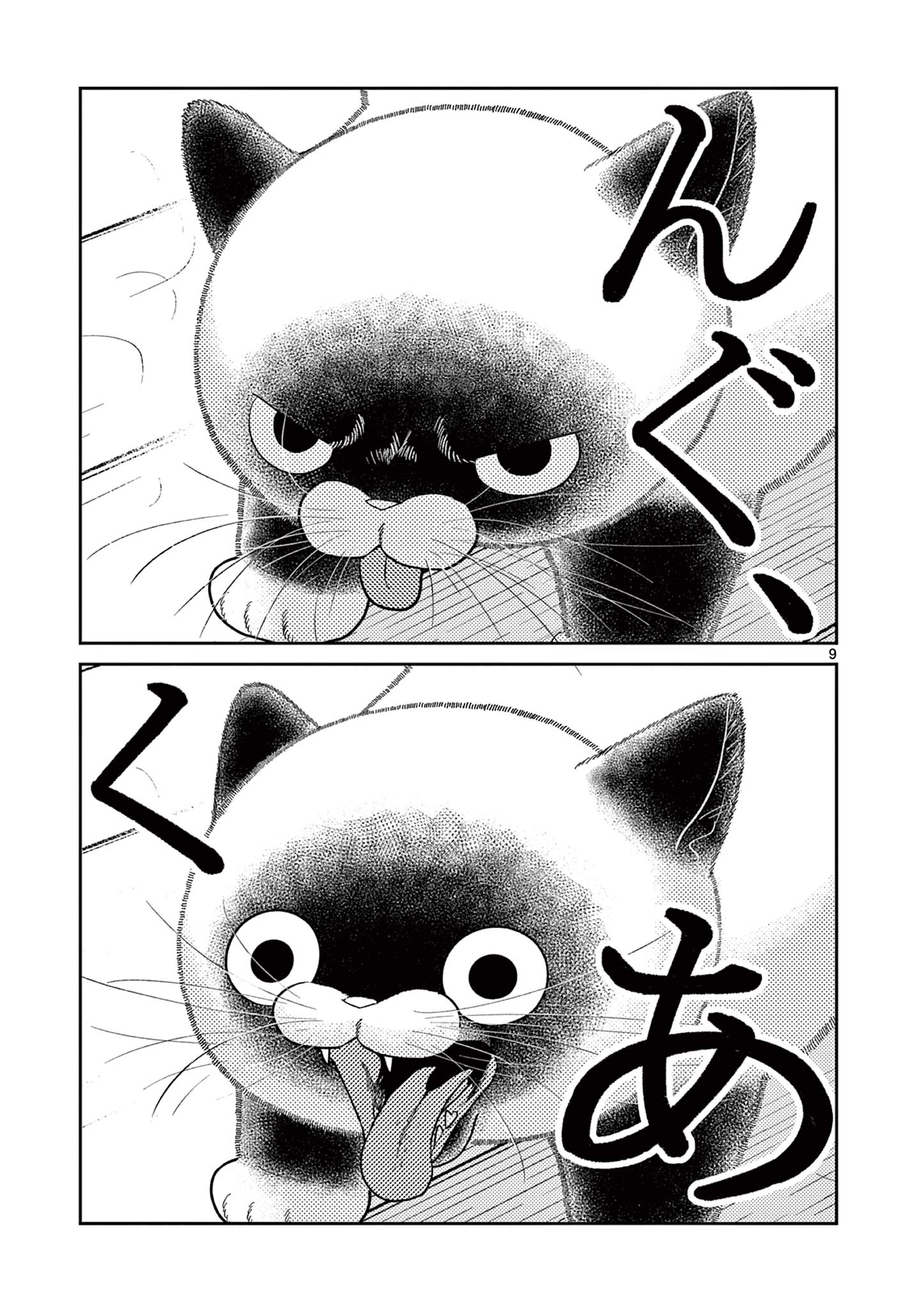 Read OJI-SAN TO NYANKICHI Chapter 34 [High Quality / Full] - Page 9 - nicomanga.com