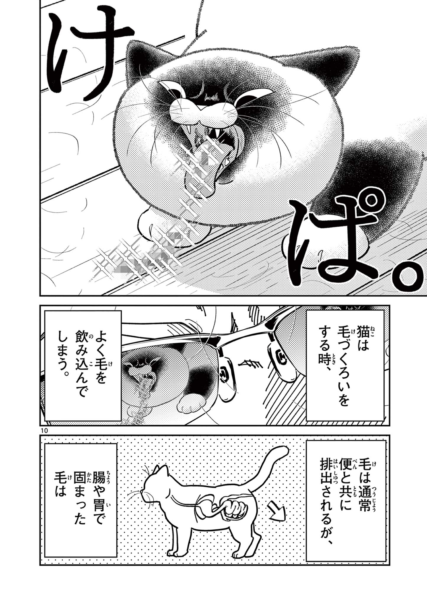 Read OJI-SAN TO NYANKICHI Chapter 34 [High Quality / Full] - Page 10 - nicomanga.com