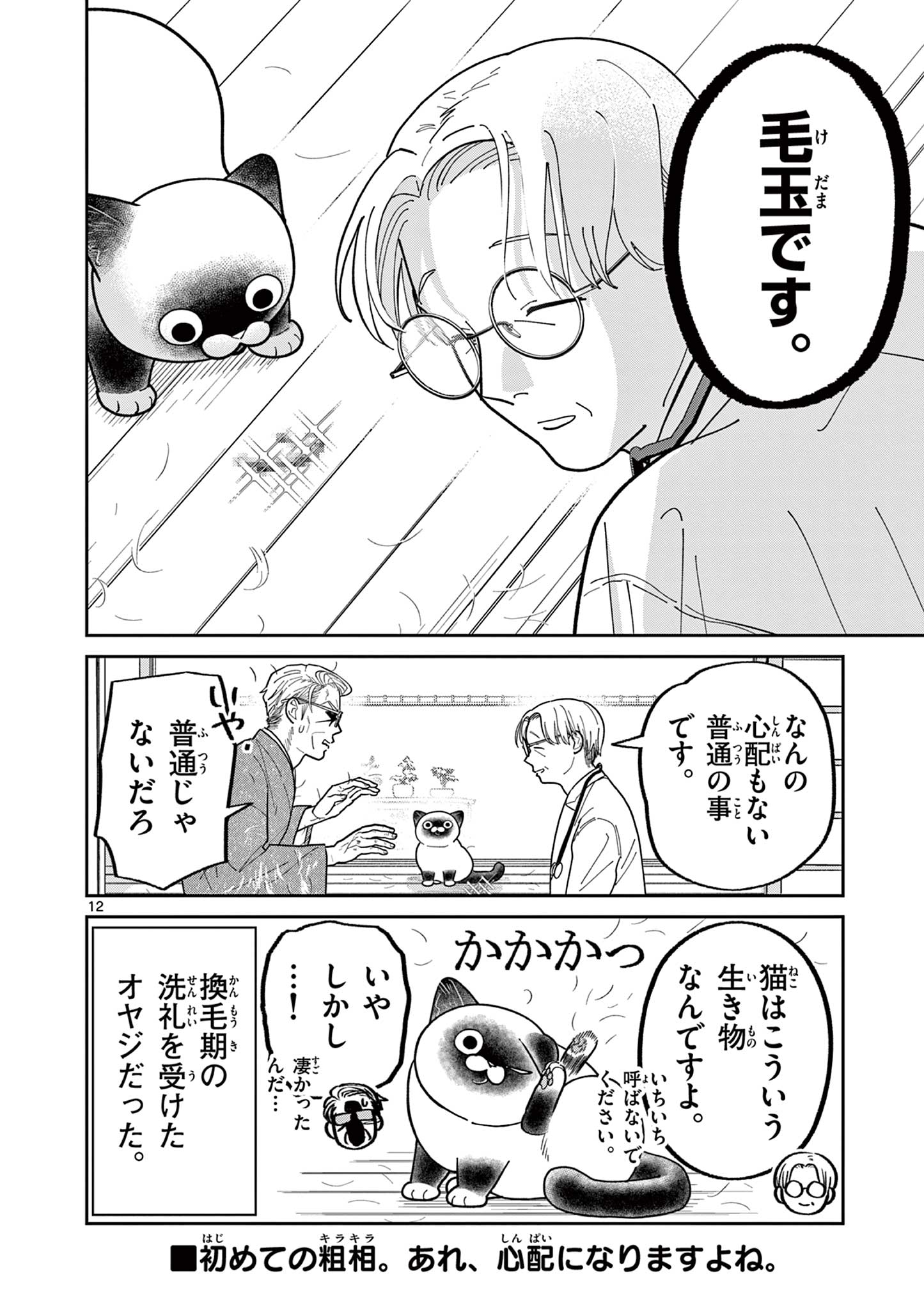 Read OJI-SAN TO NYANKICHI Chapter 34 [High Quality / Full] - Page 12 - nicomanga.com
