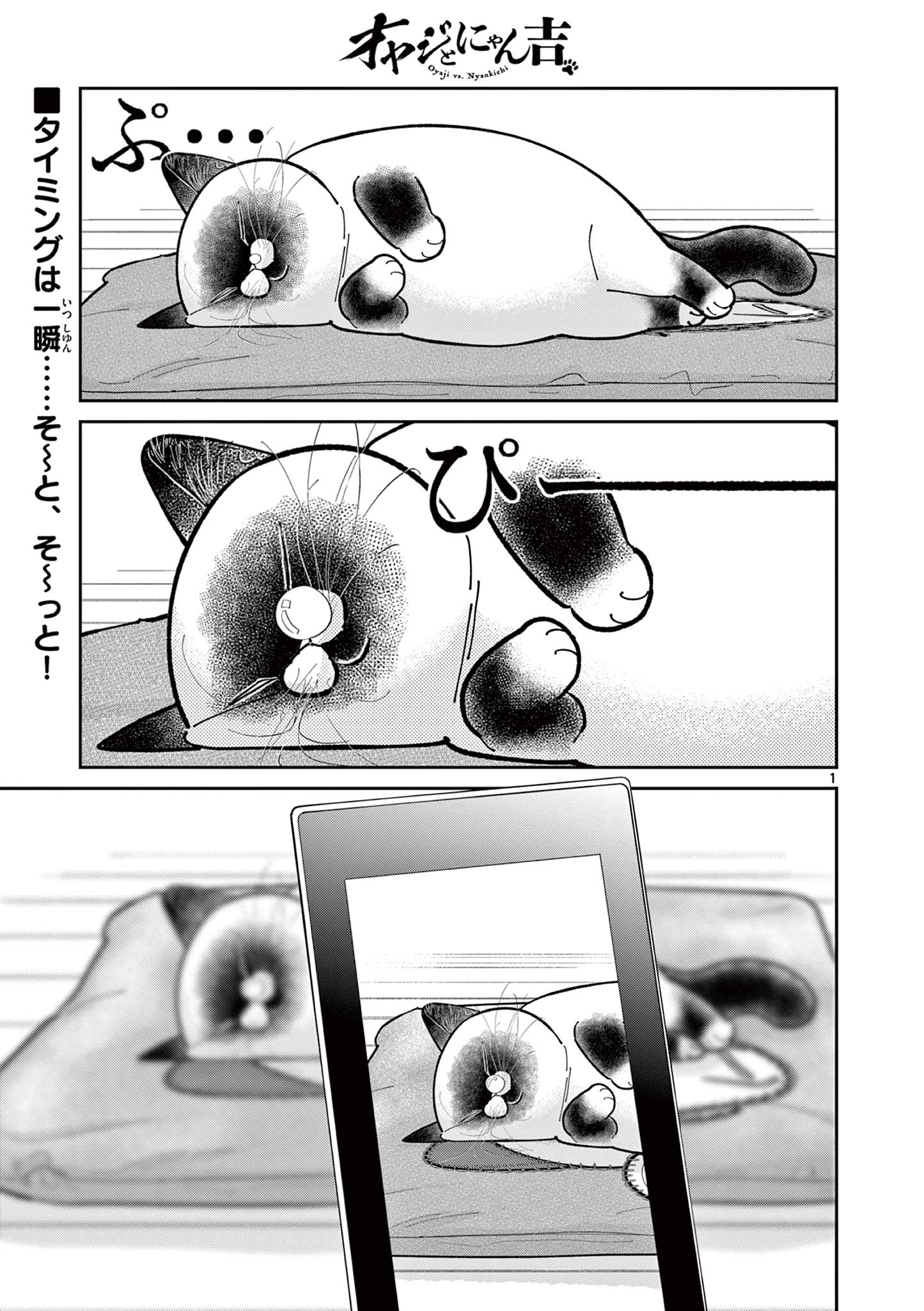 Read OJI-SAN TO NYANKICHI Chapter 35 [High Quality / Full] - Page 1 - nicomanga.com