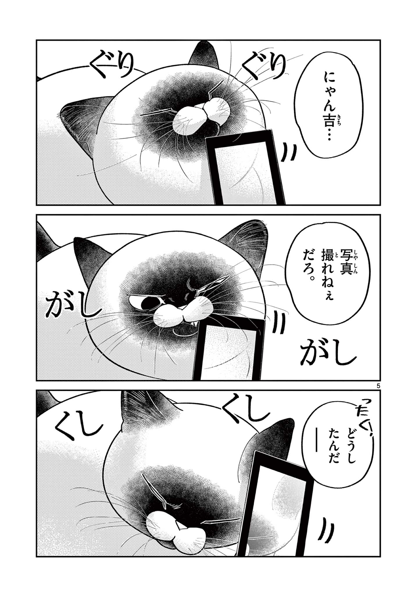 Read OJI-SAN TO NYANKICHI Chapter 35 [High Quality / Full] - Page 5 - nicomanga.com