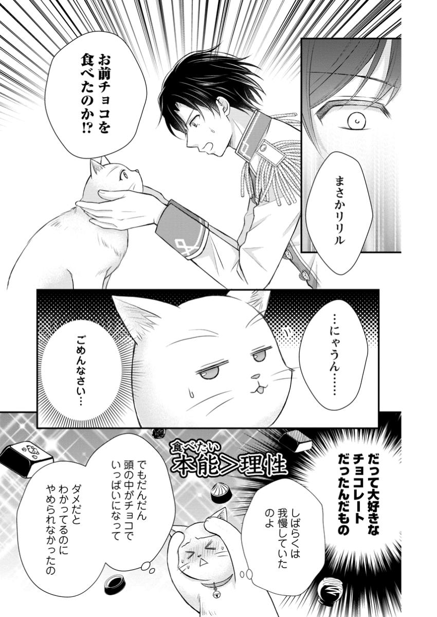 Read NOROI DE NEKO NI SARETA AKUNE, O TAISHI NI HIROWARERU Chapter 6.2 [High Quality / Full] - Page 10 - nicomanga.net